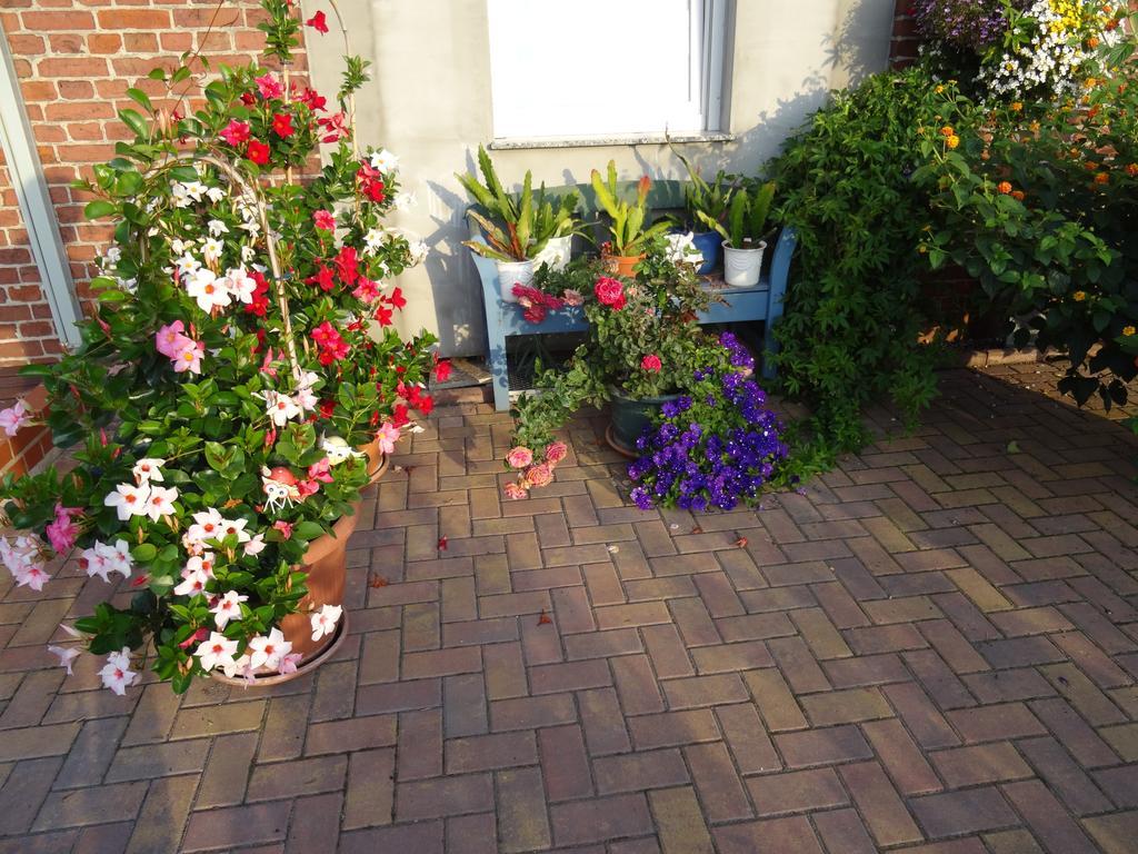 Ferienwohnungen Amselweg Brandenburg  Exterior foto